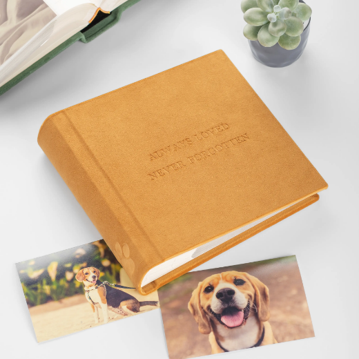 Picture of Velvet Slip In Photo Album for 200 5x7 Photos Embossed Dog Paw