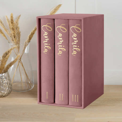 Picture of Velvet Baby Slip In Photo Album for 300 4x6 Photos