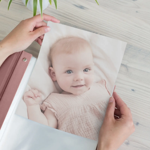 Picture of Velvet Baby Slip In Photo Album for 8x10 Photos
