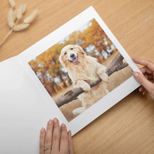 Picture of Soft Cover Pet Photo Book