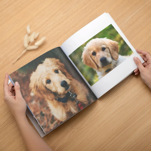 Picture of Soft Cover Pet Photo Book