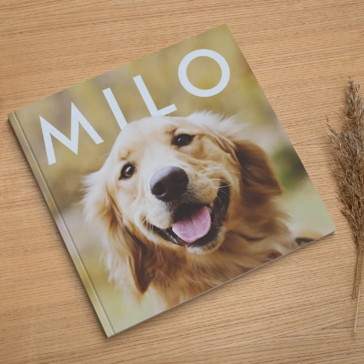 Picture of Soft Cover Pet Photo Book