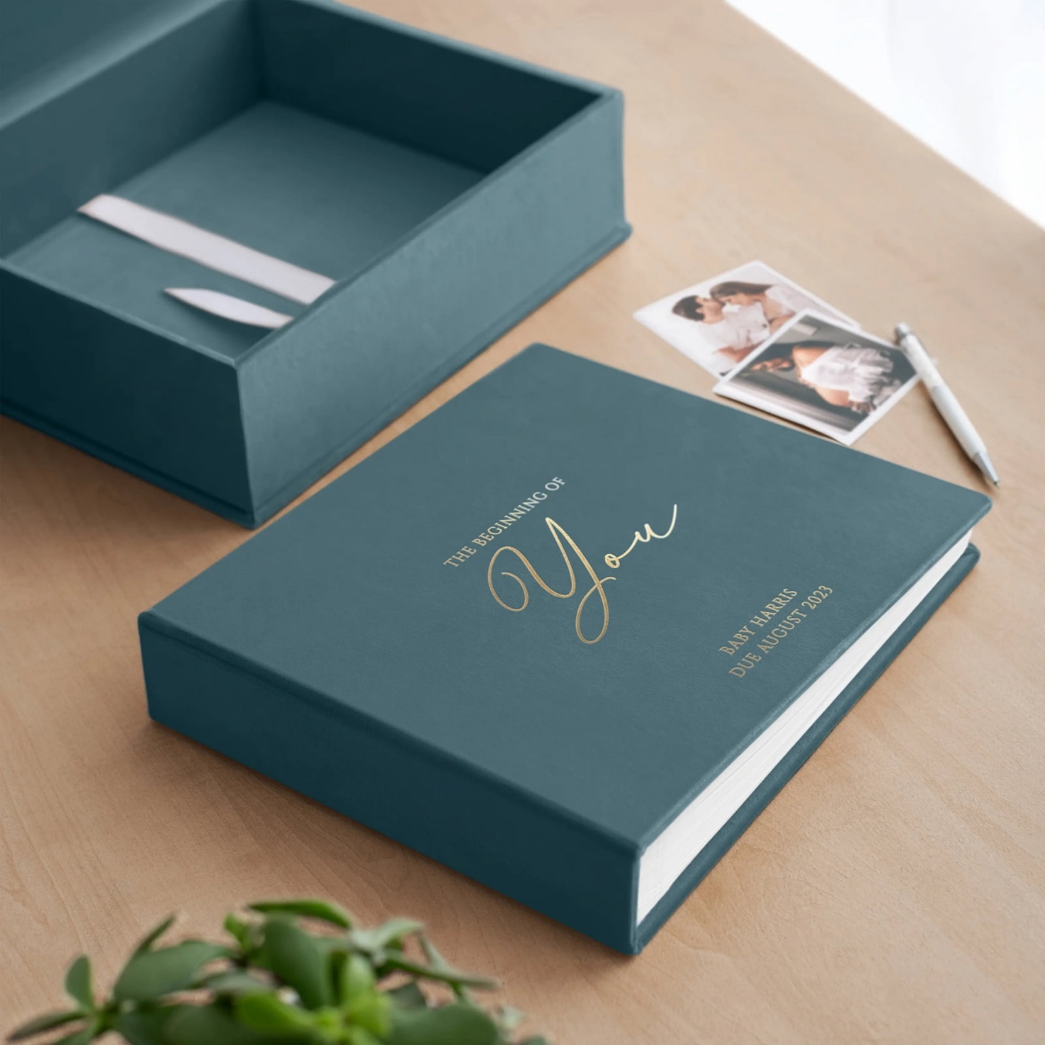 Picture of Velvet Pregnancy Book
