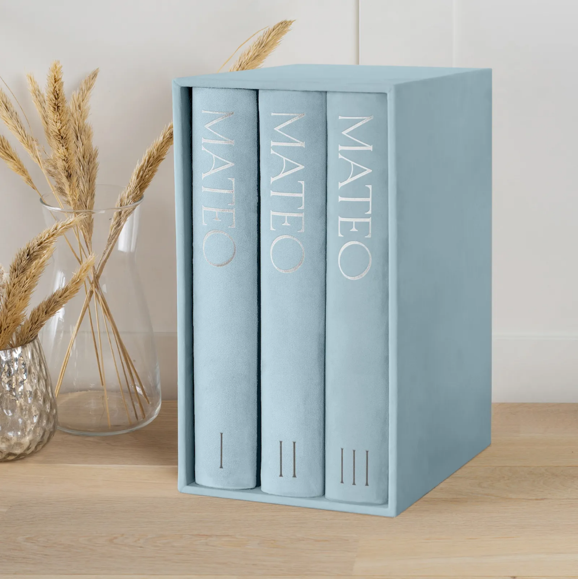 Picture of Velvet Baby Slip In Photo Album for 300 4x6 Photos, Design B117