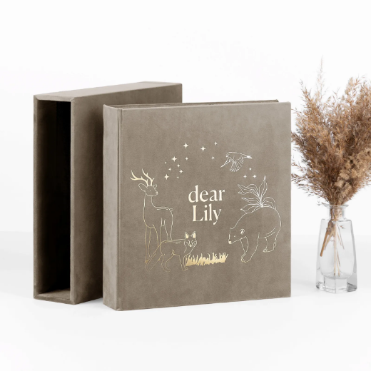 Picture of Velvet Baby Photo Book #B44