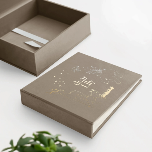 Picture of Velvet Baby Photo Book #B44