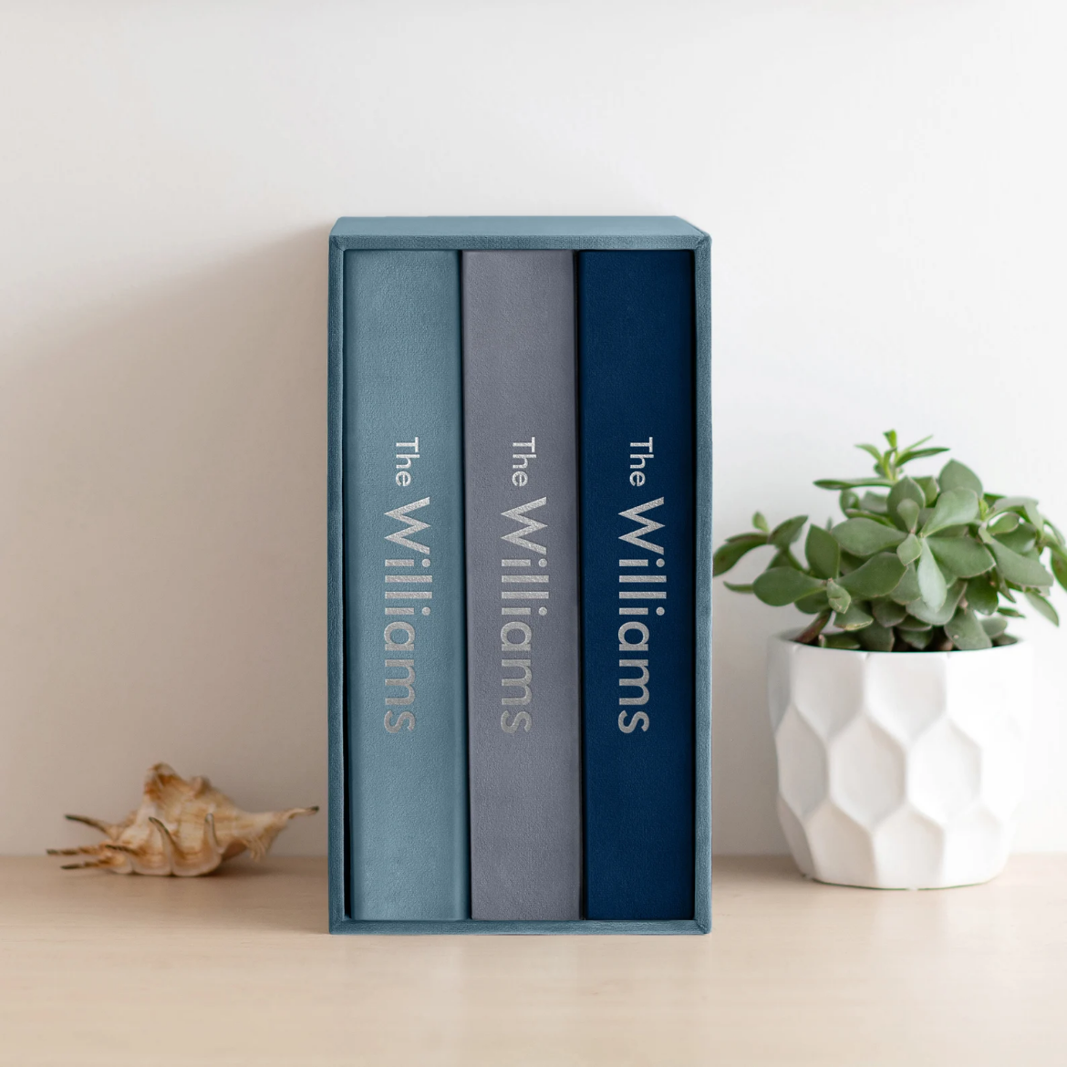 Picture of Three Velvet Ring Binders with Slipcase